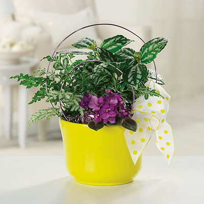 Corporate Gifts