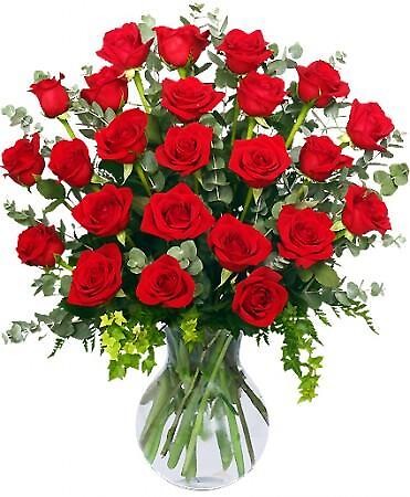 Two Dozen Red Roses