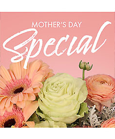 Mother’s Day Special