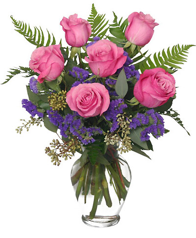 Half Dozen In Pink