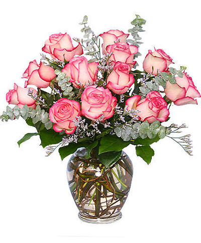 Dozen Pink Roses
